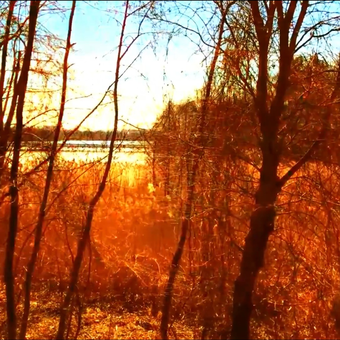Daylight