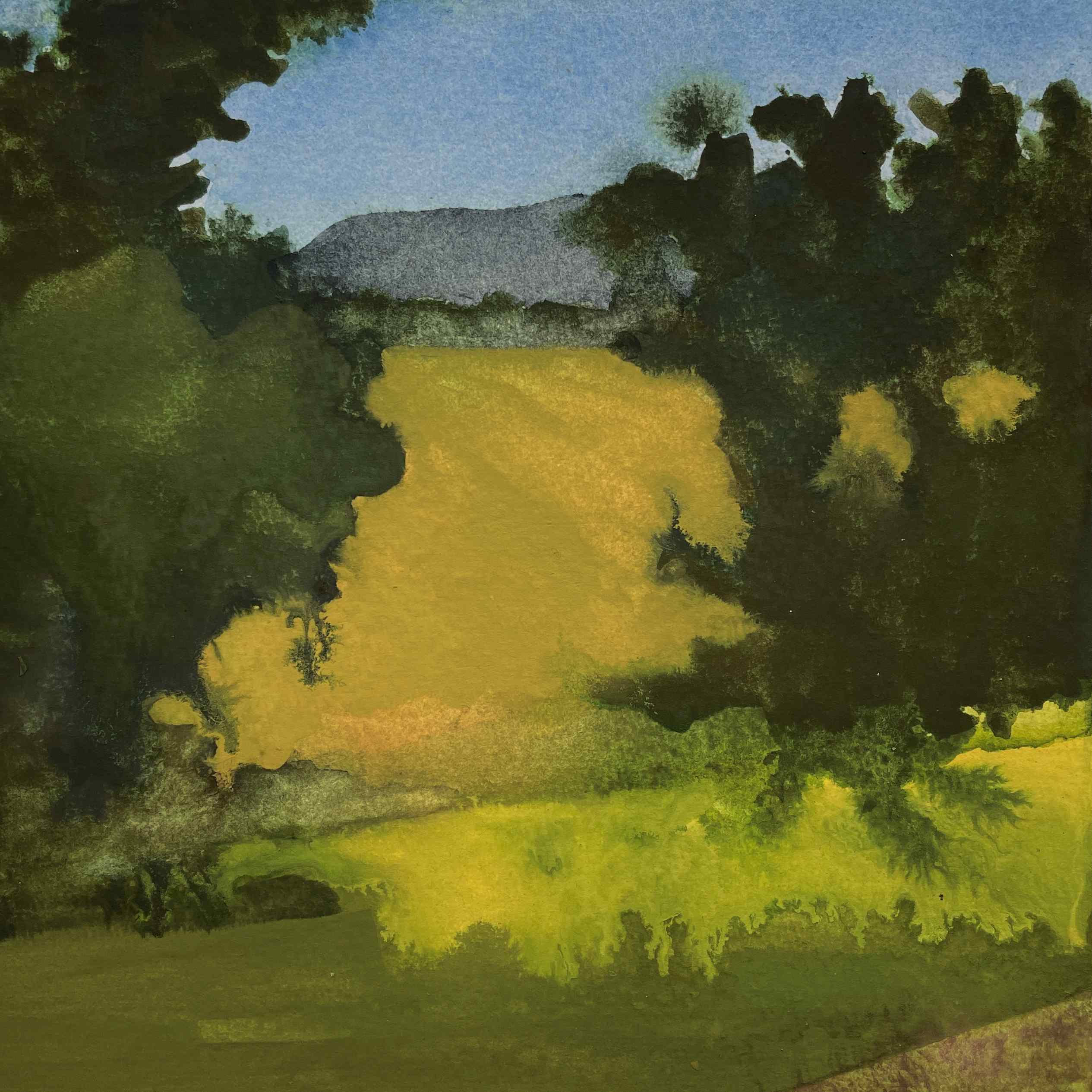 Watercolors